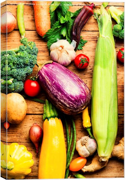 Big set of fresh vegetables Canvas Print by Mykola Lunov Mykola