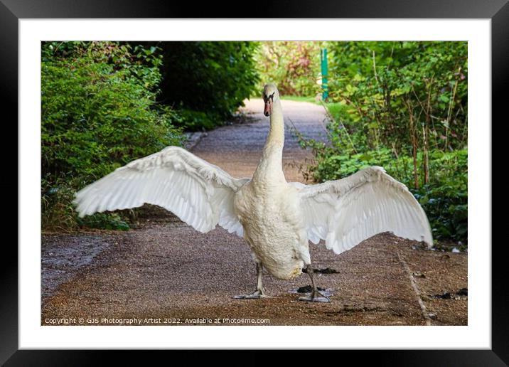 Thou Shalt Not Pass Cropped Framed Mounted Print by GJS Photography Artist