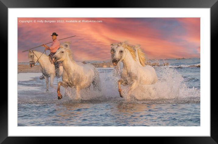 Camargue White horse at Sunset, france  Framed Mounted Print by Holly Burgess