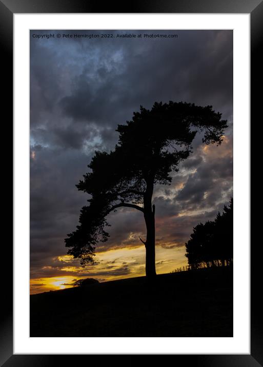 Tree on Raddon Top Framed Mounted Print by Pete Hemington