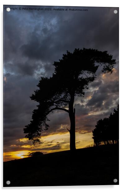 Tree on Raddon Top Acrylic by Pete Hemington