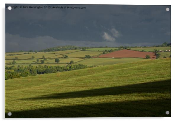 Rural Mid Devon Acrylic by Pete Hemington