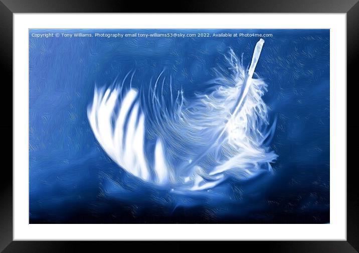 Light as a feather Framed Mounted Print by Tony Williams. Photography email tony-williams53@sky.com