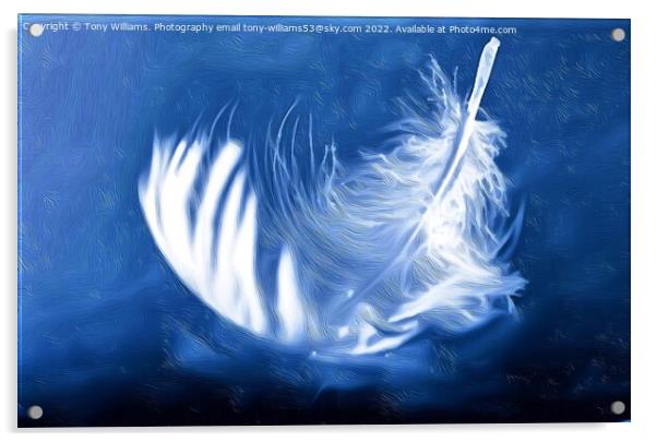 Light as a feather Acrylic by Tony Williams. Photography email tony-williams53@sky.com