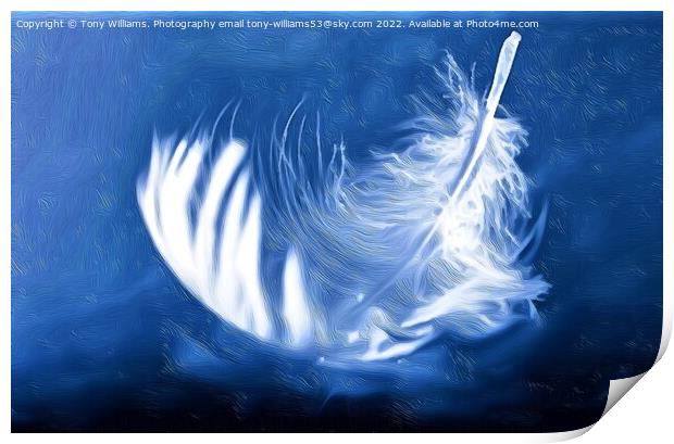 Light as a feather Print by Tony Williams. Photography email tony-williams53@sky.com