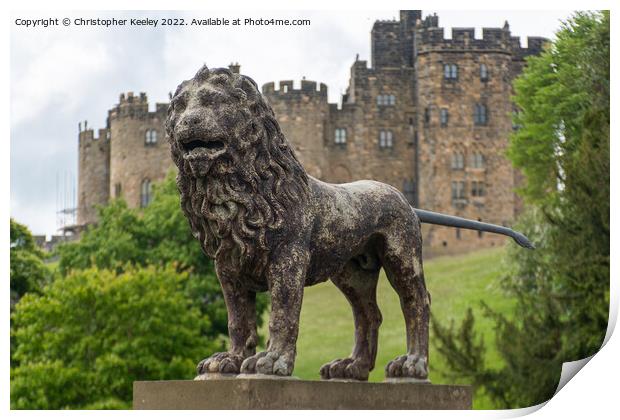 Lion statue at Alnwick Castle Print by Christopher Keeley