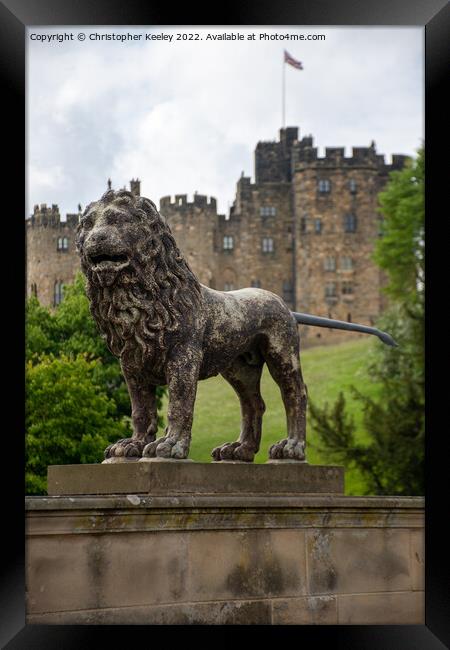 Alnwick Castle lion statue Framed Print by Christopher Keeley