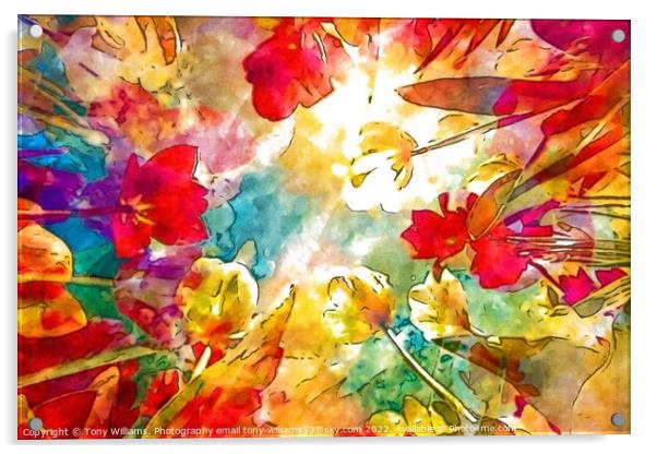 Flowers abstract  Acrylic by Tony Williams. Photography email tony-williams53@sky.com