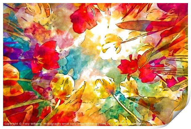 Flowers abstract  Print by Tony Williams. Photography email tony-williams53@sky.com