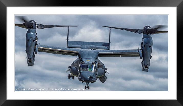 Osprey Bow Framed Mounted Print by Dave Layland