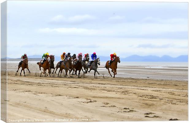 Horse Racing on Laytown Beach Canvas Print by Harry Marcus