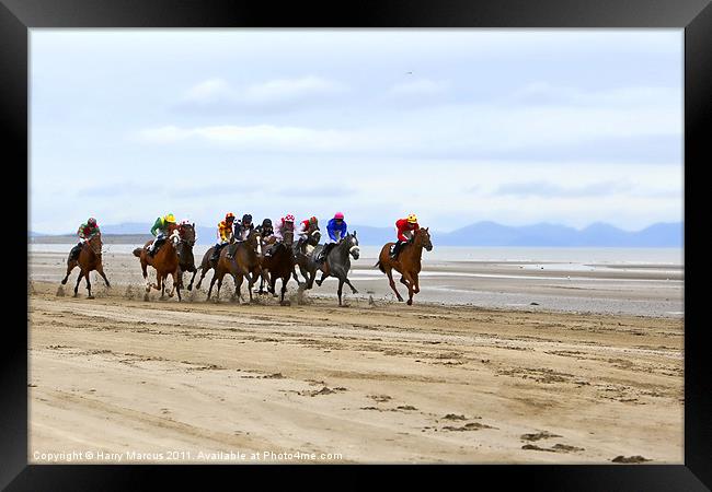 Horse Racing on Laytown Beach Framed Print by Harry Marcus