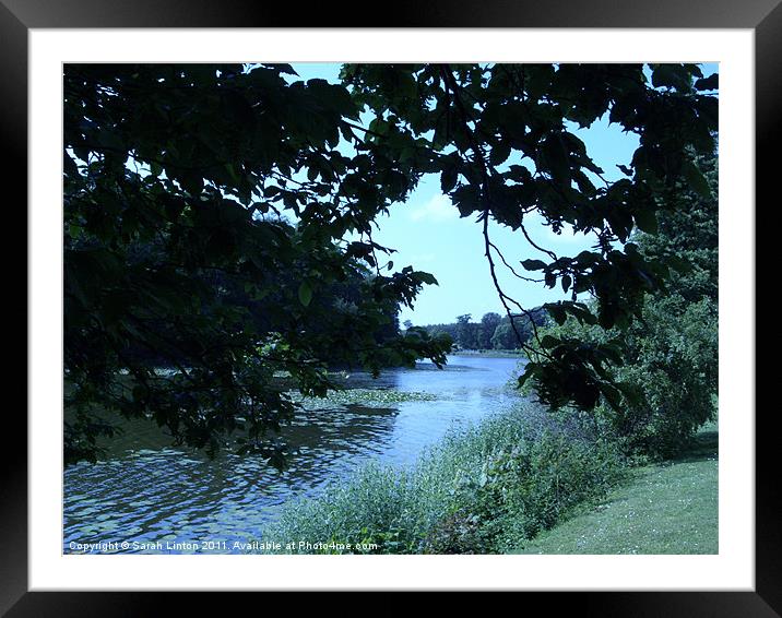 Lake Häckeberga Framed Mounted Print by Sarah Osterman