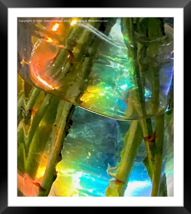A kaleidoscope of refracted light Framed Mounted Print by DEE- Diana Cosford