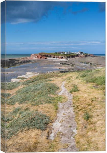 Facing Hilbre Island Canvas Print by Jason Wells