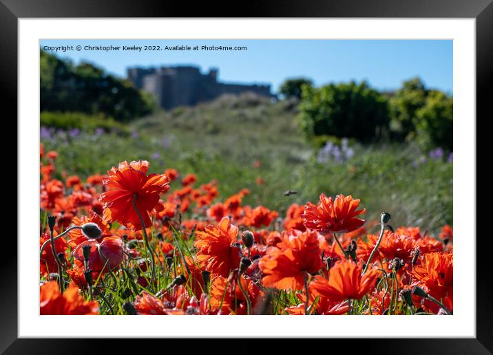 Poppies at Bamburgh Castle Framed Mounted Print by Christopher Keeley