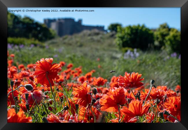 Poppies at Bamburgh Castle Framed Print by Christopher Keeley