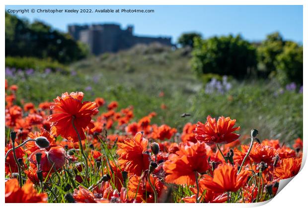 Poppies at Bamburgh Castle Print by Christopher Keeley