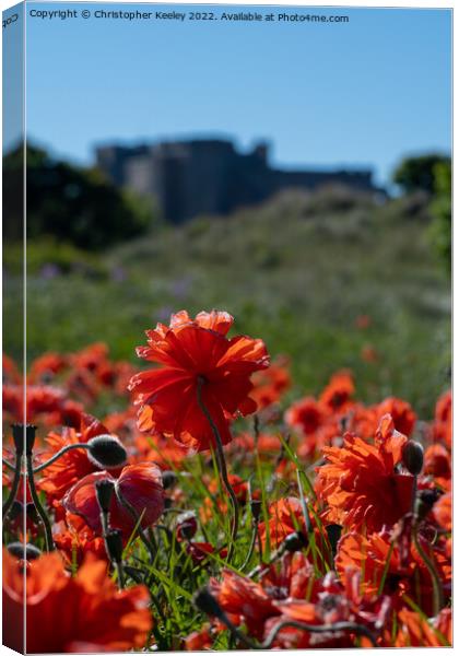 Poppies and Bamburgh Castle Canvas Print by Christopher Keeley