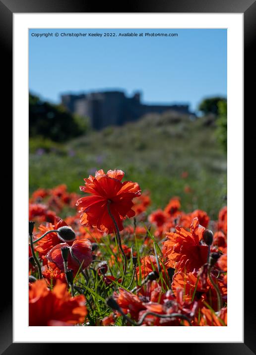 Poppies and Bamburgh Castle Framed Mounted Print by Christopher Keeley