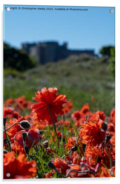 Poppies and Bamburgh Castle Acrylic by Christopher Keeley