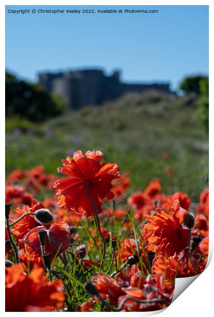 Poppies and Bamburgh Castle Print by Christopher Keeley