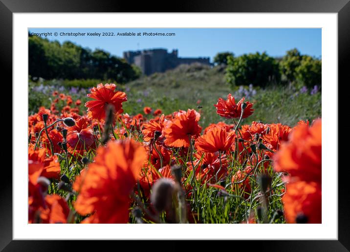 Summer and red poppies at Bamburgh Castle Framed Mounted Print by Christopher Keeley