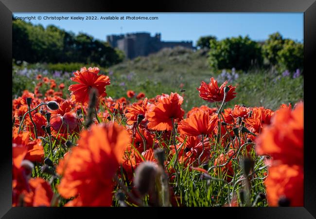 Summer and red poppies at Bamburgh Castle Framed Print by Christopher Keeley