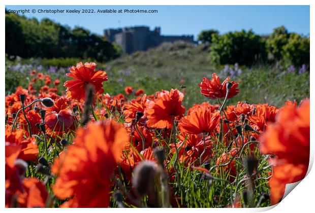 Summer and red poppies at Bamburgh Castle Print by Christopher Keeley