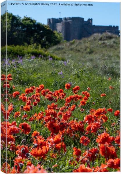 Red poppies on Bamburgh beach Canvas Print by Christopher Keeley