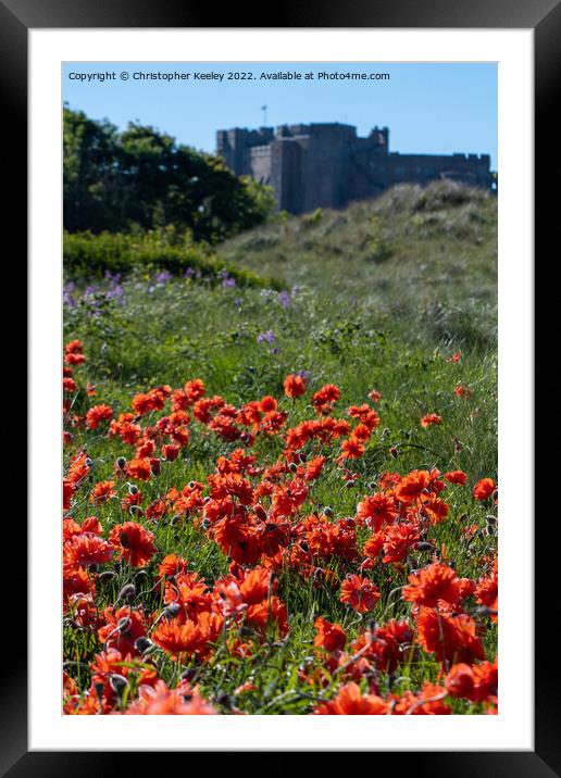 Red poppies on Bamburgh beach Framed Mounted Print by Christopher Keeley
