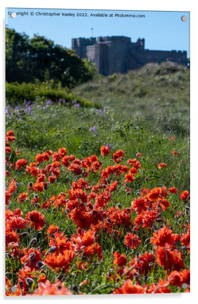 Red poppies on Bamburgh beach Acrylic by Christopher Keeley