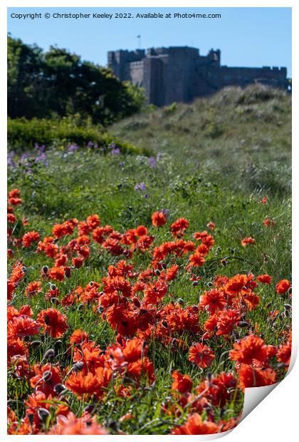 Red poppies on Bamburgh beach Print by Christopher Keeley