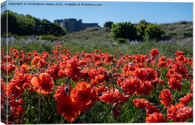 Poppies and Bamburgh Castle Canvas Print by Christopher Keeley