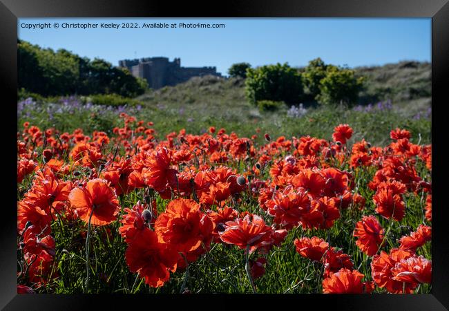 Poppies and Bamburgh Castle Framed Print by Christopher Keeley