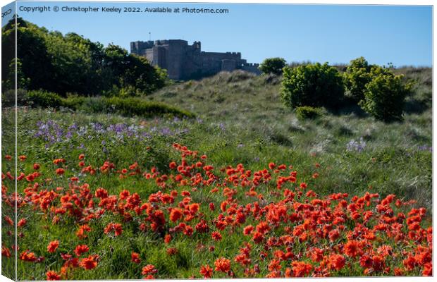 A sea of poppies at Bamburgh Castle Canvas Print by Christopher Keeley