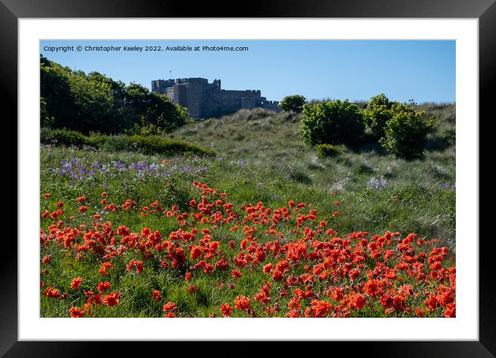 A sea of poppies at Bamburgh Castle Framed Mounted Print by Christopher Keeley