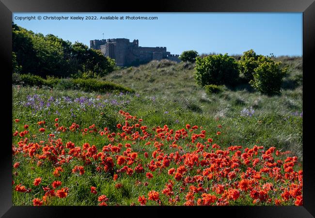 A sea of poppies at Bamburgh Castle Framed Print by Christopher Keeley
