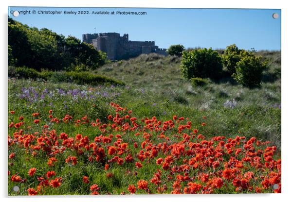 A sea of poppies at Bamburgh Castle Acrylic by Christopher Keeley