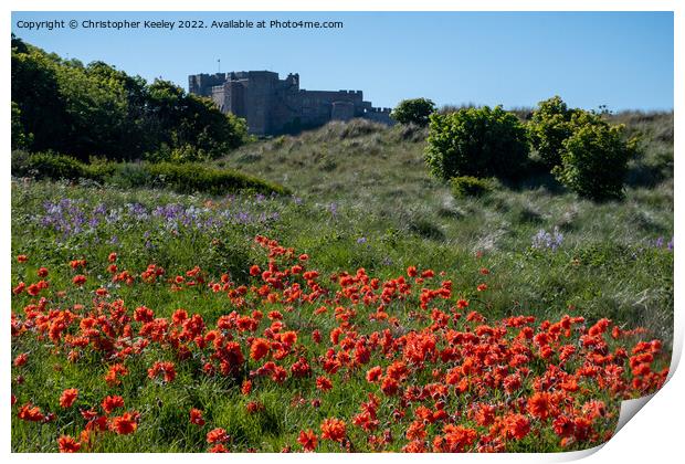 A sea of poppies at Bamburgh Castle Print by Christopher Keeley