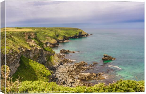 Cornish Coastline between Navax Point and Hell's M Canvas Print by Michael Shannon