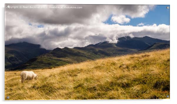 Snowdon from Moel Eilio Mountainside in Snowdonia Acrylic by Pearl Bucknall