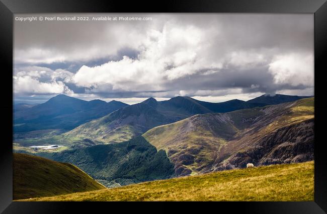 Nantlle Ridge View from Moel Eilio in Snowdonia Framed Print by Pearl Bucknall