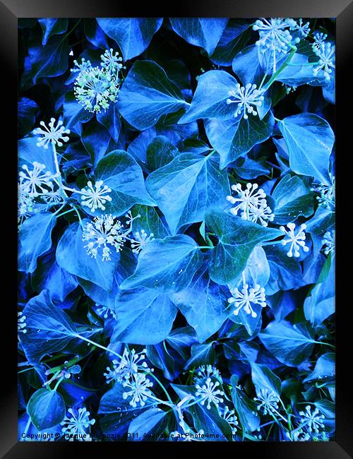 BLUE SNOWFLAKES Framed Print by Jacque Mckenzie