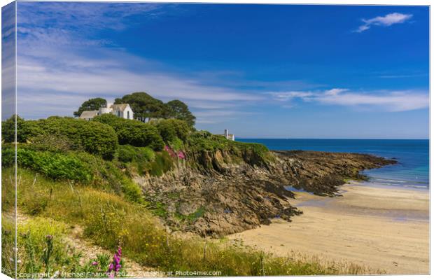The beach at Chapel Point in Cornwall Canvas Print by Michael Shannon