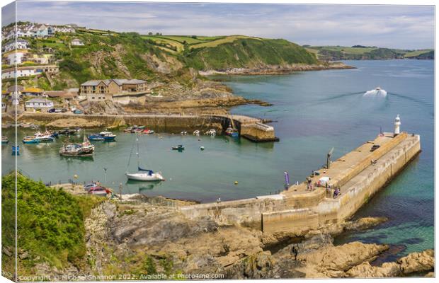 Aerial view of the outer harbour in Mevagissey, Co Canvas Print by Michael Shannon