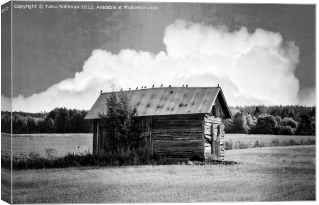 Small Rural Barn with Birds Black and White Canvas Print by Taina Sohlman