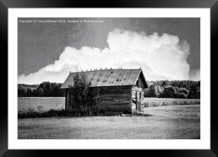 Small Rural Barn with Birds Black and White Framed Mounted Print by Taina Sohlman