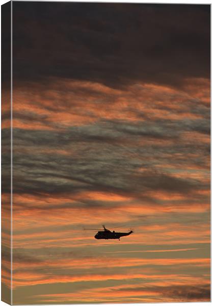 flying off into the sunset Canvas Print by Gail Johnson