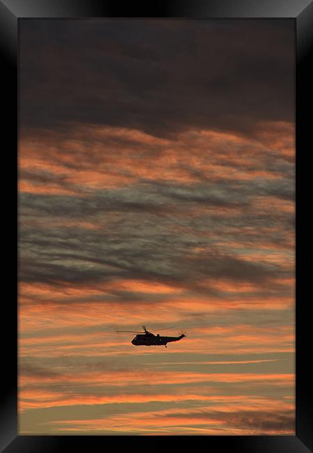 flying off into the sunset Framed Print by Gail Johnson